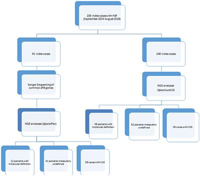 Next Generation Molecular Diagnosis of Hereditary Spastic Paraplegias: An Italian Cross-Sectional Study